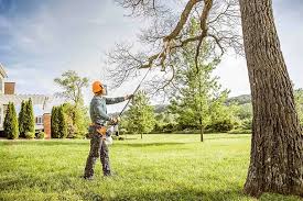 Best Hedge Trimming  in Shinnecock Hills, NY