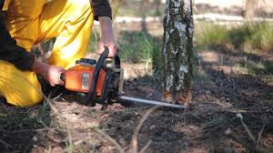 Best Soil Testing and Treatment  in Shinnecock Hills, NY