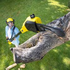 Best Firewood Processing and Delivery  in Shinnecock Hills, NY