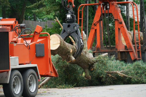 Best Weed Control  in Shinnecock Hills, NY